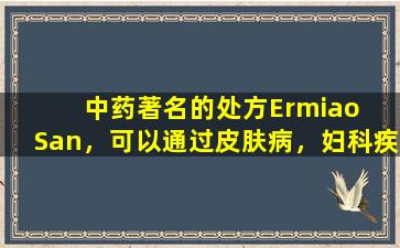 中药著名的处方Ermiao  San，可以通过皮肤病，妇科疾病，男性疾病和胃肠道疾病来调整。